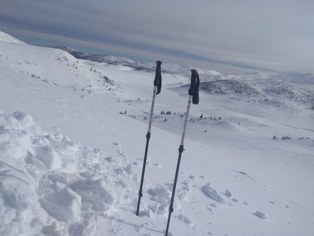 מקלות הליכה