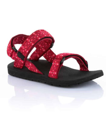 שורש ילדים אדום