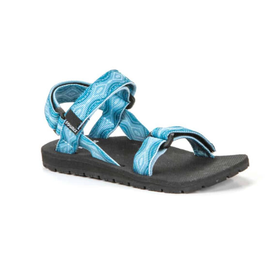 שורש ילדים תכלת