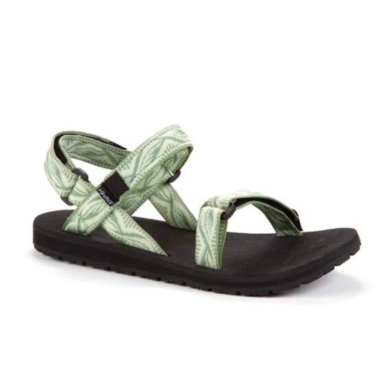 שורש נשים ירוק בהיר