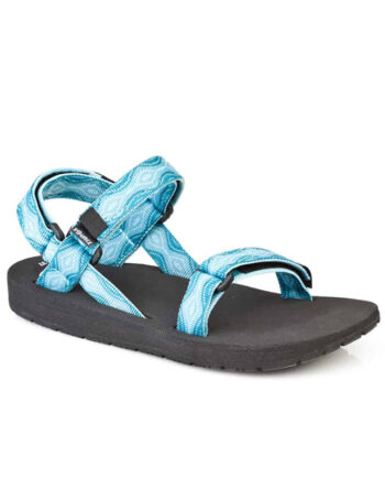 שורש נשים תכלת