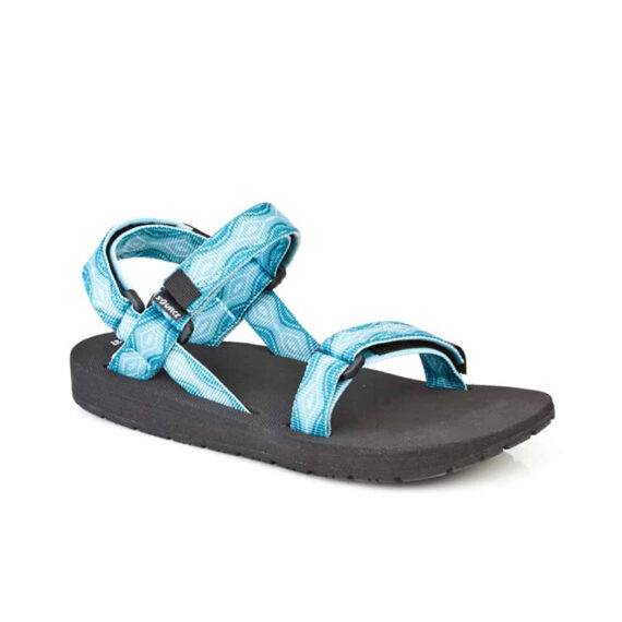 שורש נשים תכלת